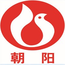 朝陽泵業(yè)QZ軸流、QH混流潛水電泵
